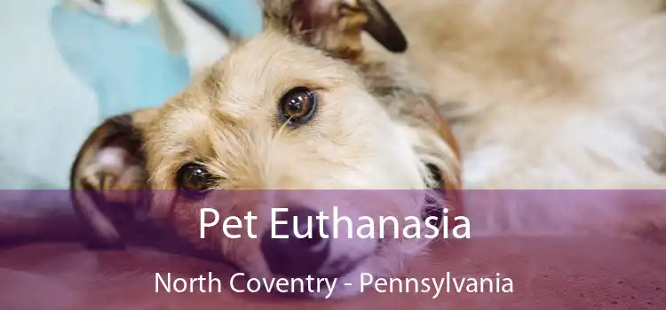 Pet Euthanasia North Coventry - Pennsylvania