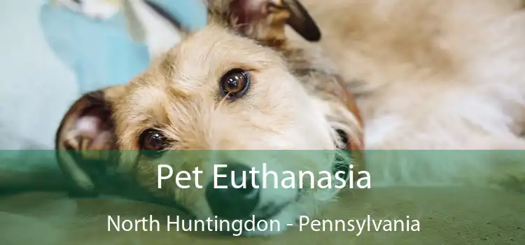Pet Euthanasia North Huntingdon - Pennsylvania