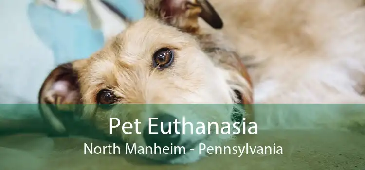 Pet Euthanasia North Manheim - Pennsylvania
