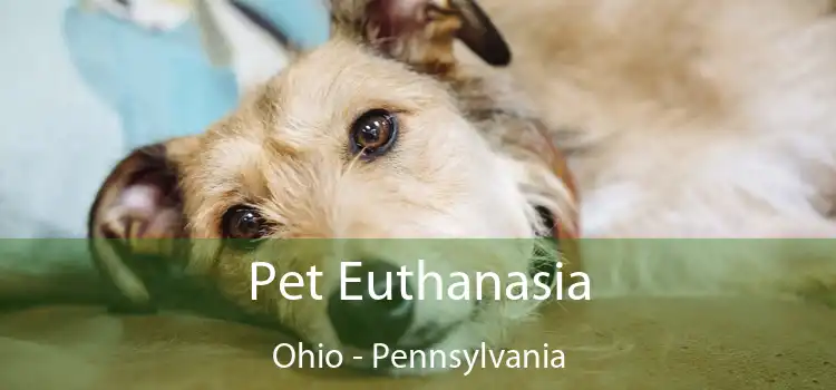 Pet Euthanasia Ohio - Pennsylvania