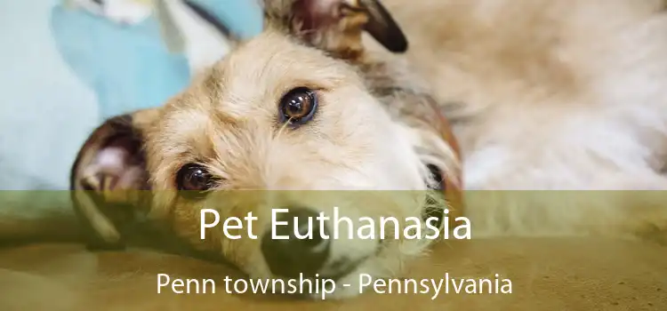 Pet Euthanasia Penn township - Pennsylvania