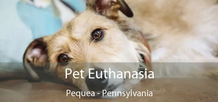 Pet Euthanasia Pequea - Pennsylvania