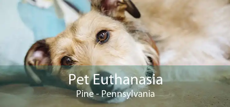Pet Euthanasia Pine - Pennsylvania