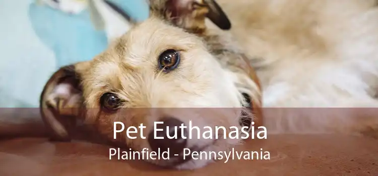 Pet Euthanasia Plainfield - Pennsylvania