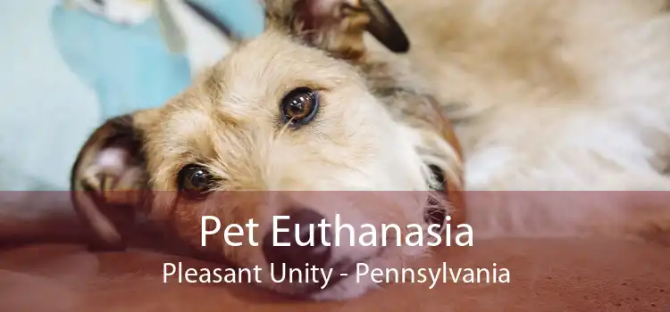 Pet Euthanasia Pleasant Unity - Pennsylvania