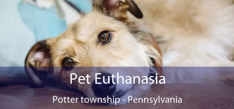 Pet Euthanasia Potter township - Pennsylvania
