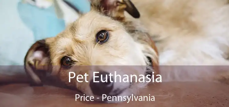 Pet Euthanasia Price - Pennsylvania