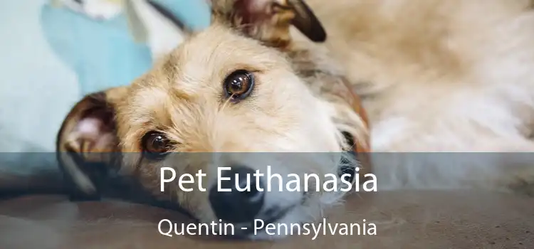 Pet Euthanasia Quentin - Pennsylvania