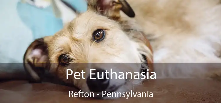 Pet Euthanasia Refton - Pennsylvania