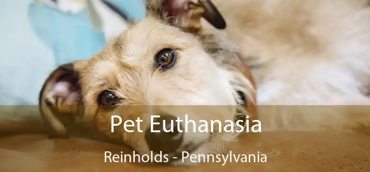 Pet Euthanasia Reinholds - Pennsylvania