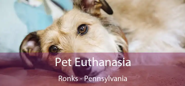Pet Euthanasia Ronks - Pennsylvania