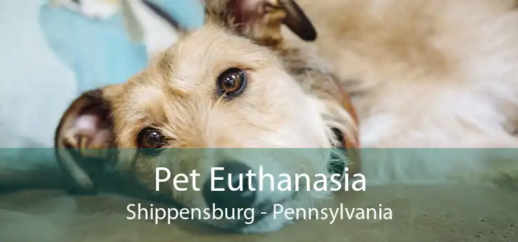 Pet Euthanasia Shippensburg - Pennsylvania
