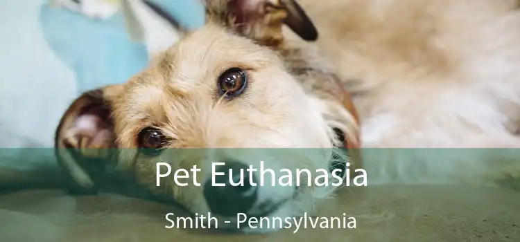 Pet Euthanasia Smith - Pennsylvania