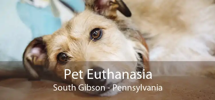 Pet Euthanasia South Gibson - Pennsylvania