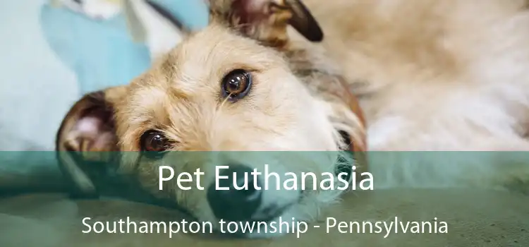 Pet Euthanasia Southampton township - Pennsylvania