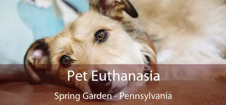 Pet Euthanasia Spring Garden - Pennsylvania