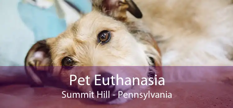 Pet Euthanasia Summit Hill - Pennsylvania