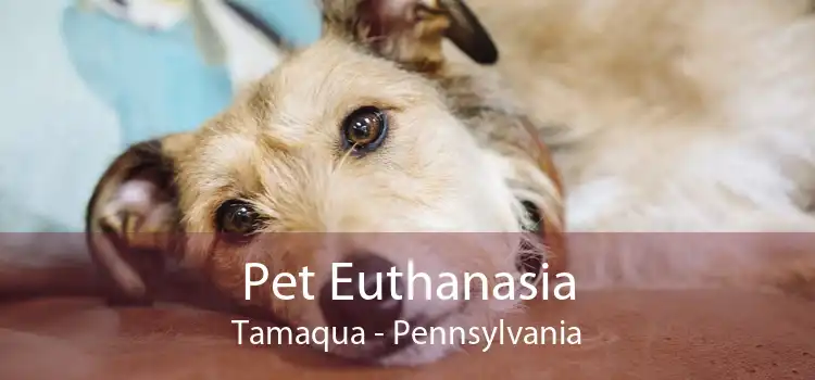 Pet Euthanasia Tamaqua - Pennsylvania