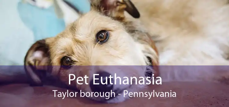 Pet Euthanasia Taylor borough - Pennsylvania