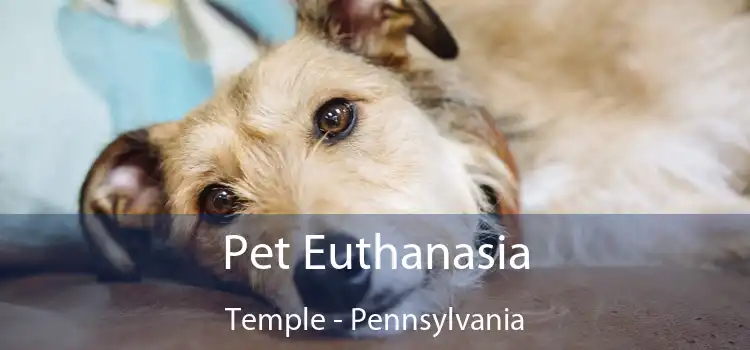 Pet Euthanasia Temple - Pennsylvania