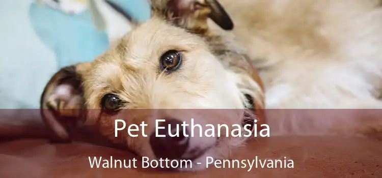 Pet Euthanasia Walnut Bottom - Pennsylvania