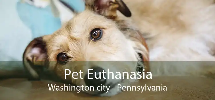 Pet Euthanasia Washington city - Pennsylvania
