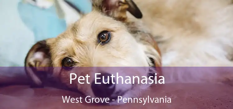 Pet Euthanasia West Grove - Pennsylvania