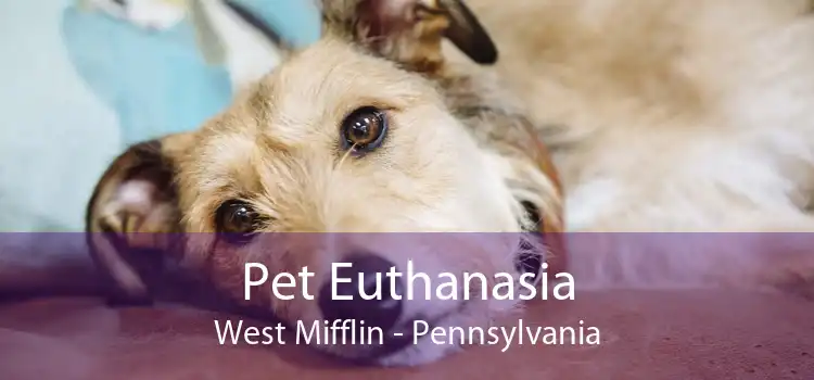Pet Euthanasia West Mifflin - Pennsylvania