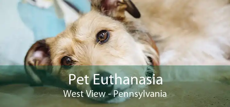 Pet Euthanasia West View - Pennsylvania
