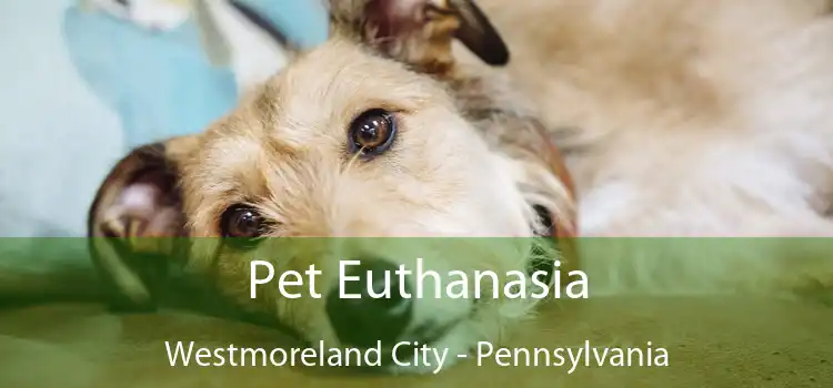 Pet Euthanasia Westmoreland City - Pennsylvania
