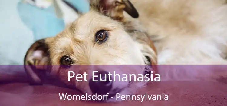 Pet Euthanasia Womelsdorf - Pennsylvania