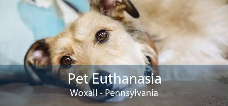 Pet Euthanasia Woxall - Pennsylvania