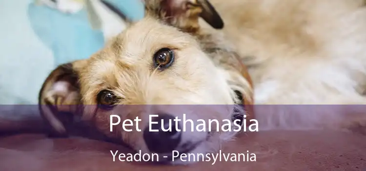 Pet Euthanasia Yeadon - Pennsylvania