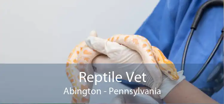 Reptile Vet Abington - Pennsylvania