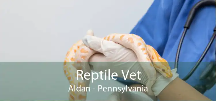 Reptile Vet Aldan - Pennsylvania