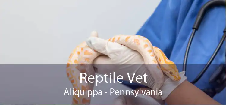 Reptile Vet Aliquippa - Pennsylvania