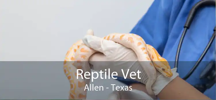 Reptile Vet Allen - Texas