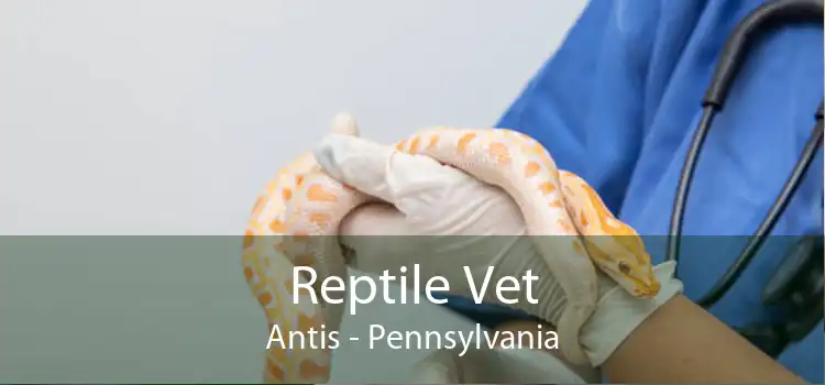 Reptile Vet Antis - Pennsylvania
