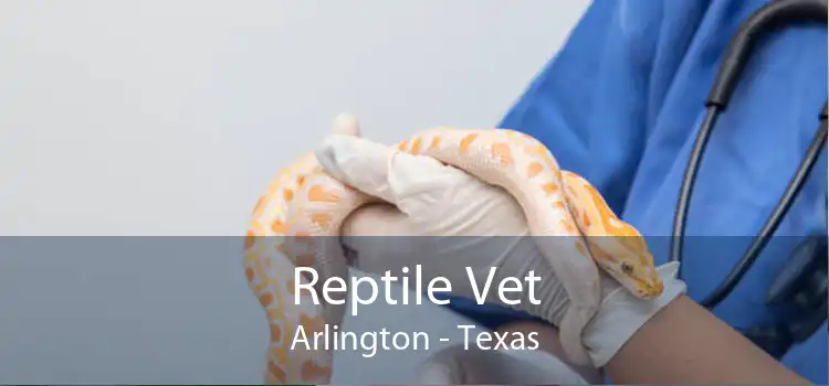 Reptile Vet Arlington - Texas