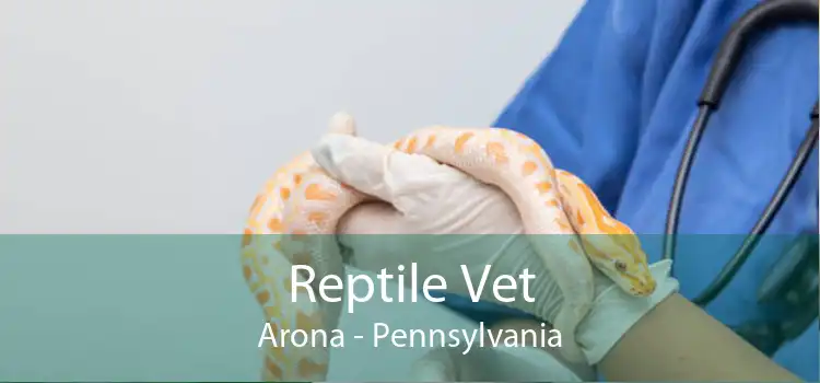 Reptile Vet Arona - Pennsylvania