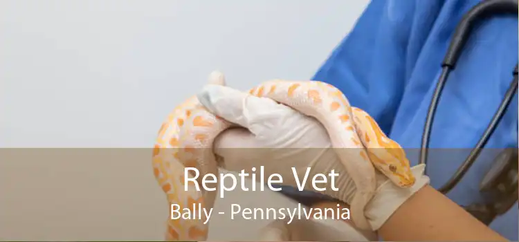 Reptile Vet Bally - Pennsylvania