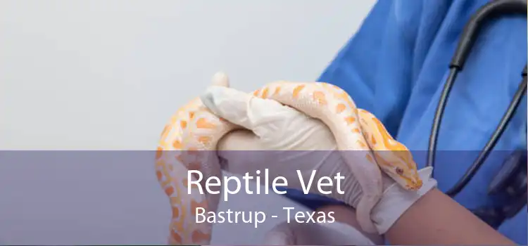Reptile Vet Bastrup - Texas