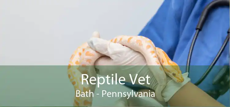 Reptile Vet Bath - Pennsylvania