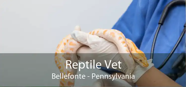Reptile Vet Bellefonte - Pennsylvania