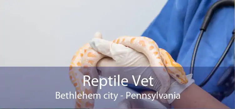 Reptile Vet Bethlehem city - Pennsylvania