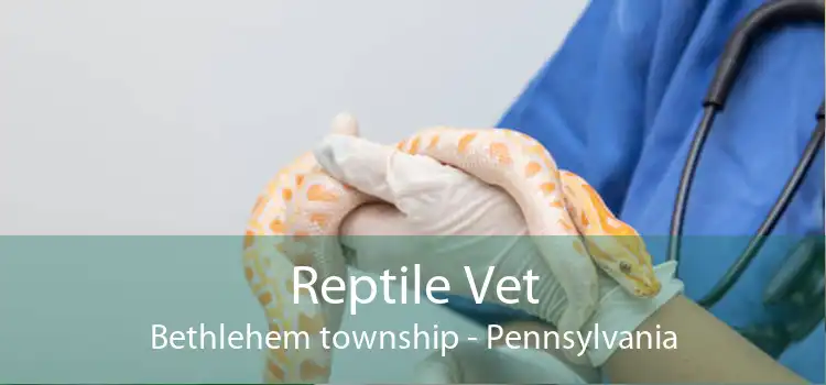 Reptile Vet Bethlehem township - Pennsylvania