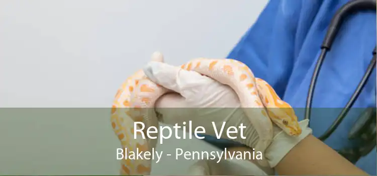 Reptile Vet Blakely - Pennsylvania