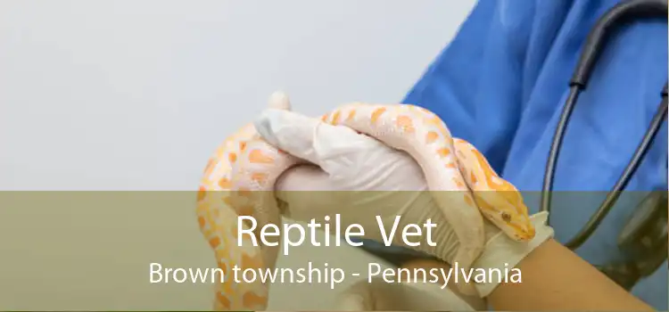Reptile Vet Brown township - Pennsylvania