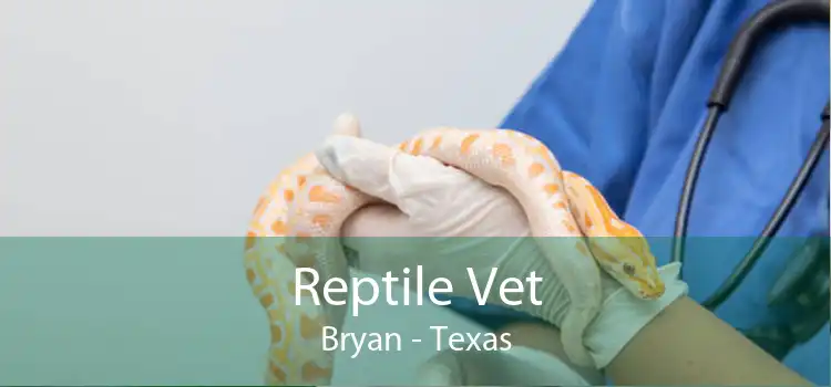 Reptile Vet Bryan - Texas