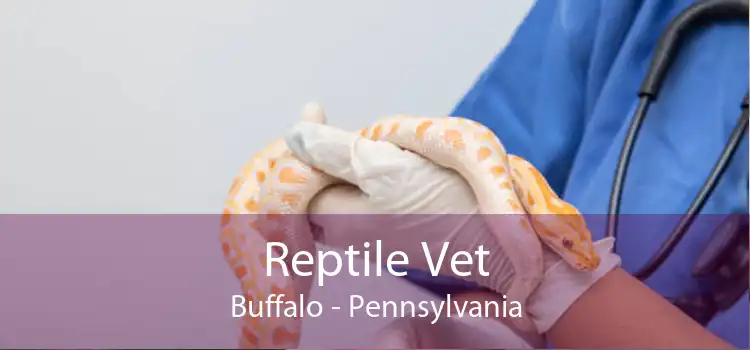 Reptile Vet Buffalo - Pennsylvania